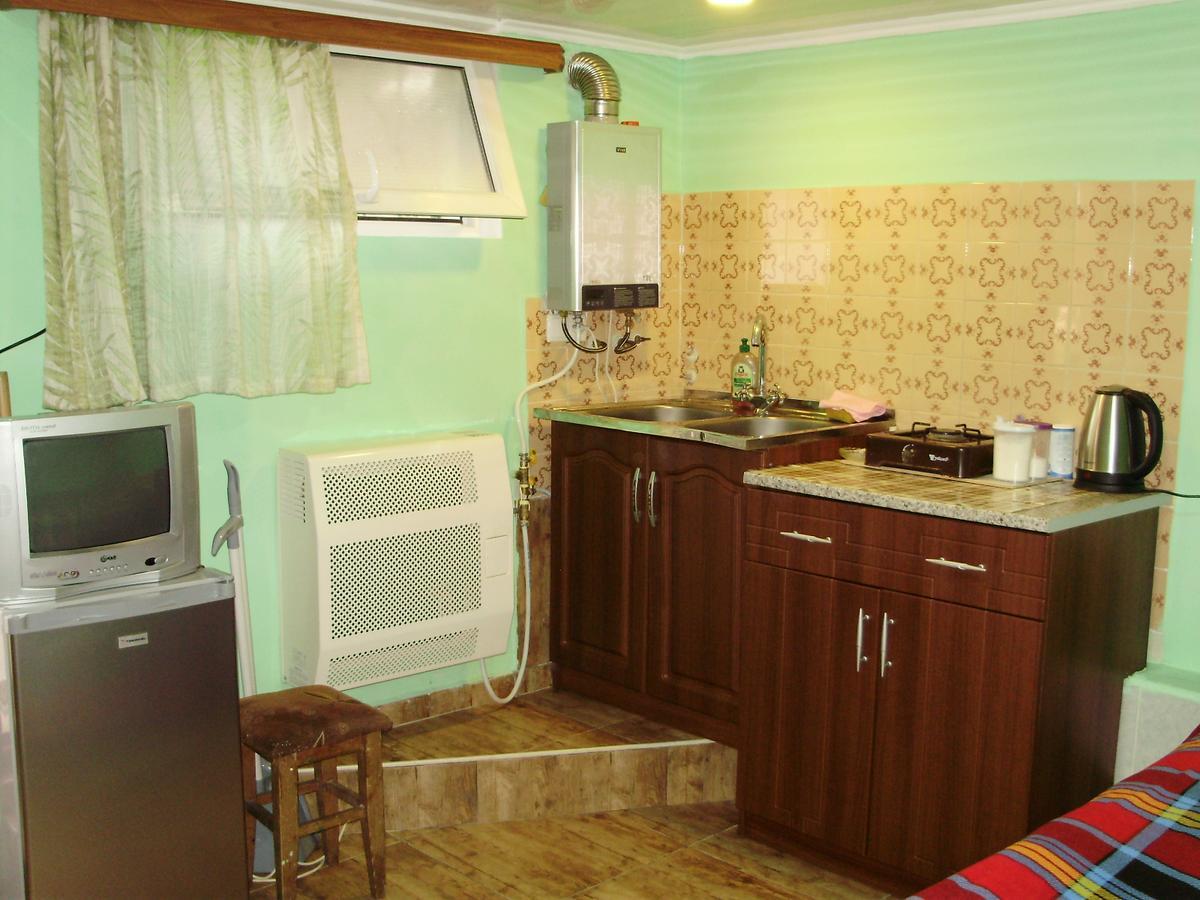 Apartment On Erekle 25A Borjomi Ngoại thất bức ảnh